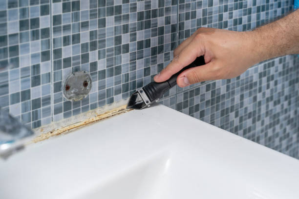 Best Mold Remediation  in Somerset, PA